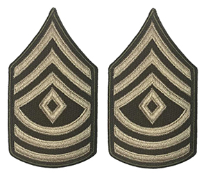 AGSU CHEVRONS E8 First Sergeant 